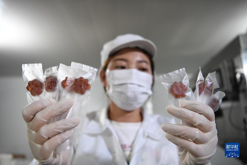 6731顶级游戏娱乐下载
